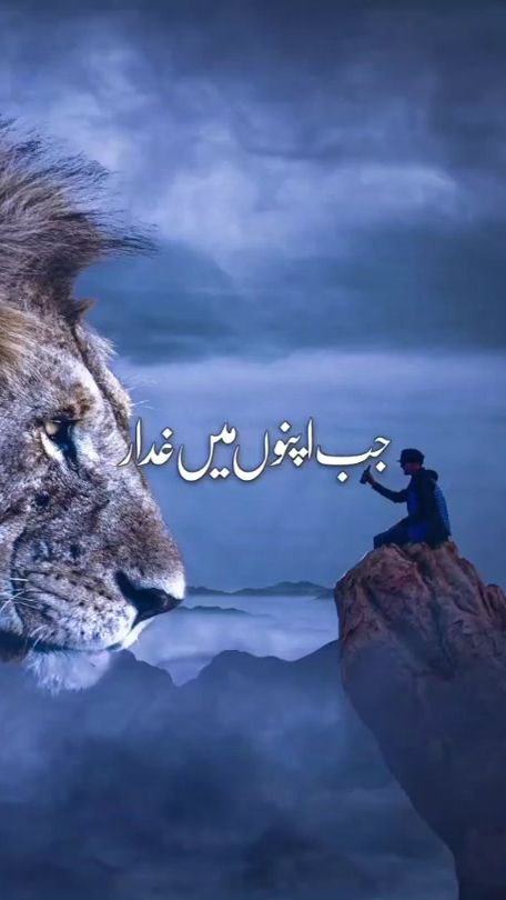 TikTok video thumbnail by designerhafeez