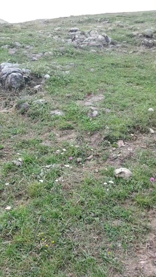 TikTok video thumbnail by nm.ed1t