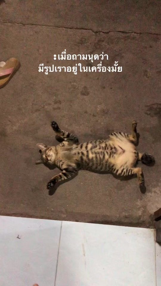 TikTok video thumbnail by thanyalak__200