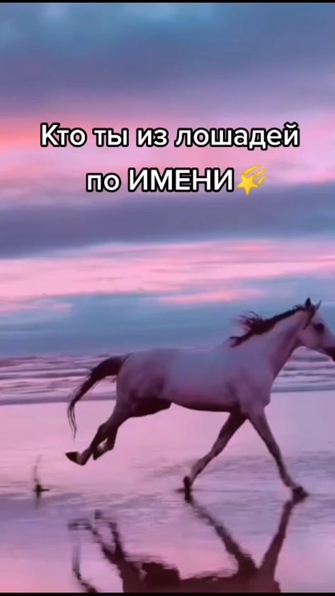 TikTok video thumbnail by vikylik_ko
