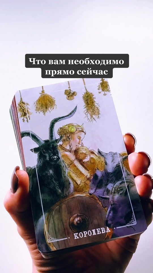 TikTok video thumbnail by barckana