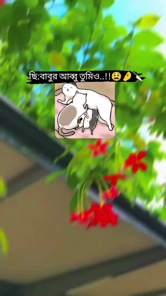 TikTok video thumbnail by raku8981