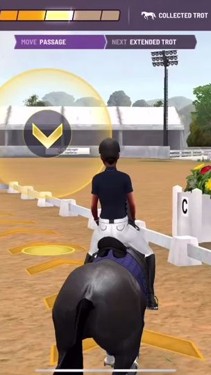 TikTok video thumbnail by .equestraid_