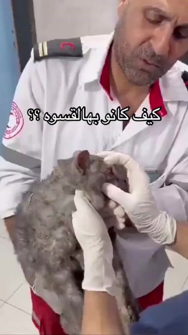 TikTok video thumbnail by msartdoce