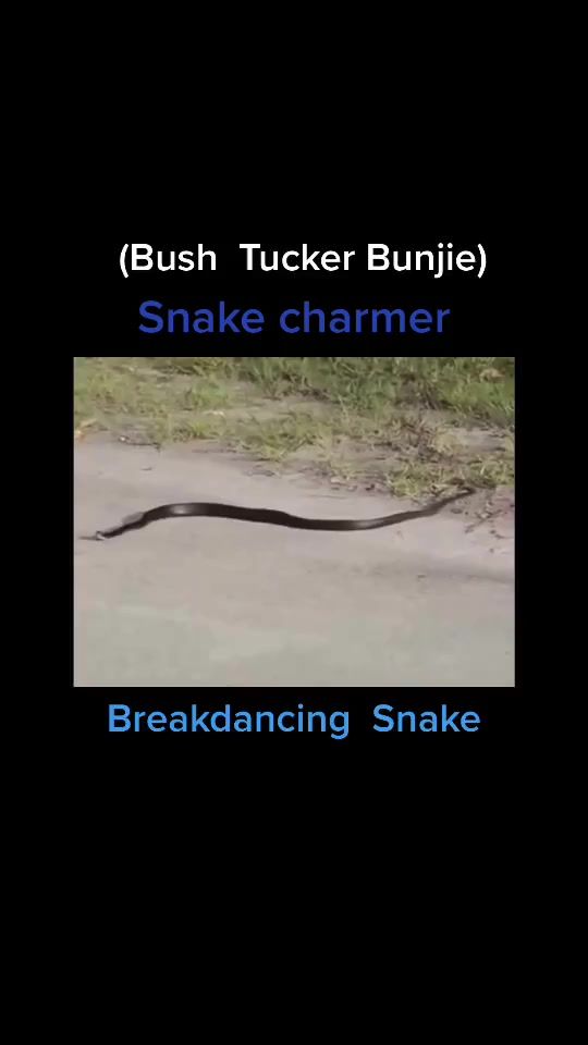 TikTok video thumbnail by lowdose