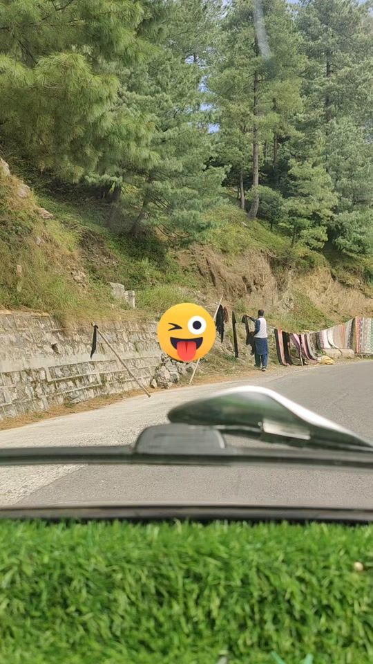 TikTok video thumbnail by thebeatyofshangla
