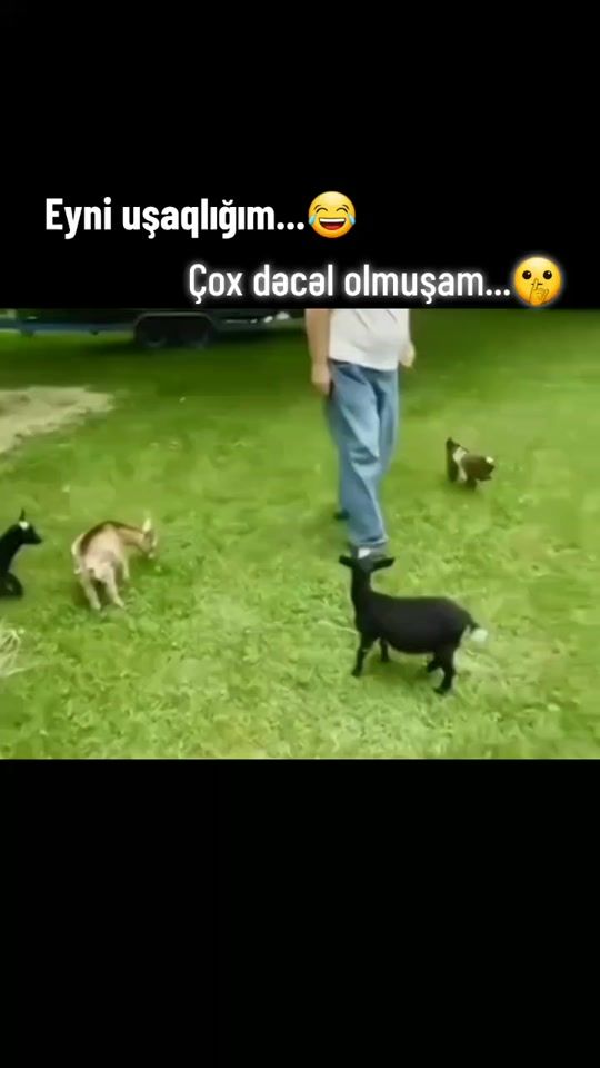 TikTok video thumbnail by narinc_5