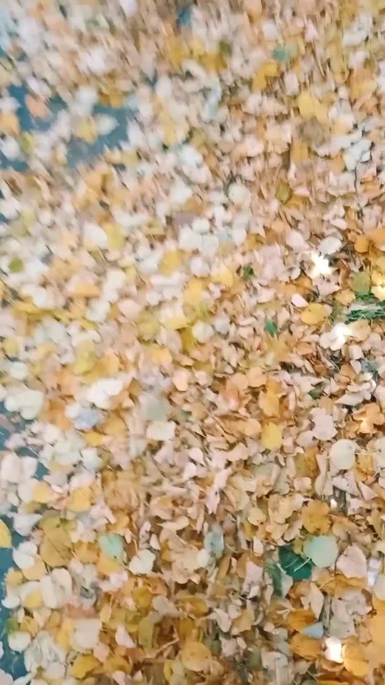 TikTok video thumbnail by calypso_44