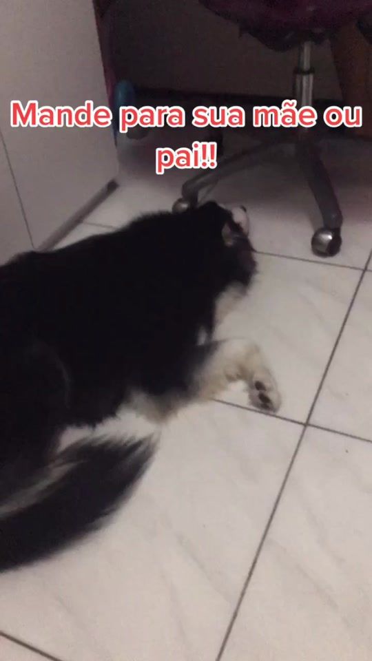 TikTok video thumbnail by kovuzinho_0fc