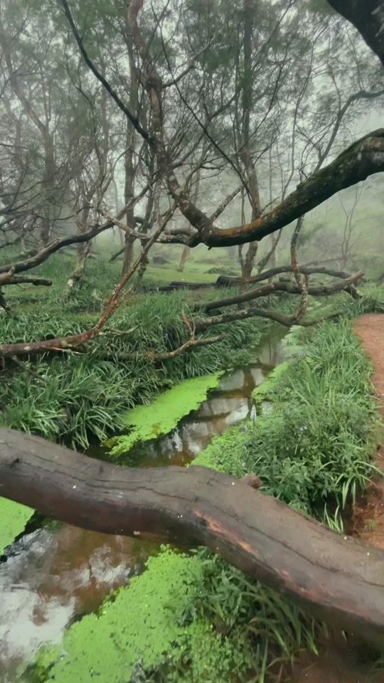 TikTok video thumbnail by travel.freedompath