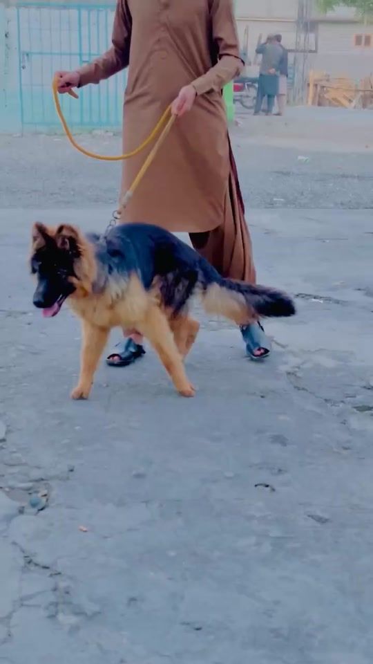 TikTok video thumbnail by haqooo_333