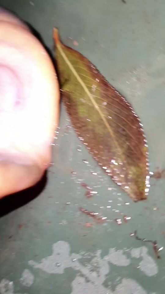 TikTok video thumbnail by adamisfishing