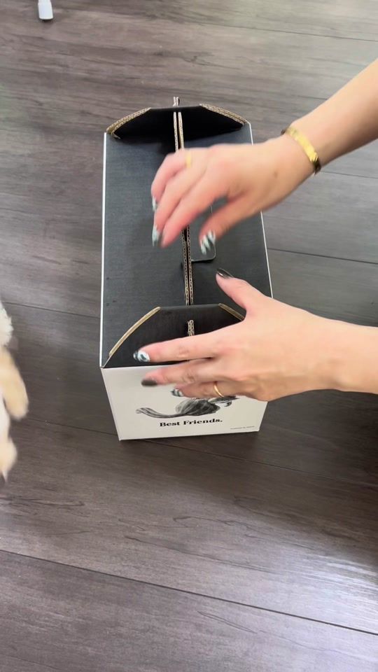 TikTok video thumbnail by animaling_ka_kun