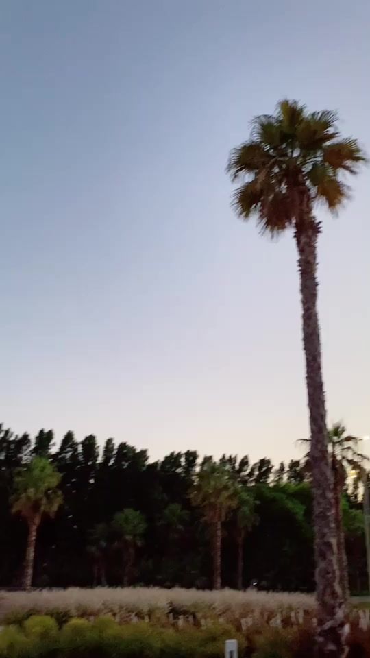 TikTok video thumbnail by jb_explorer