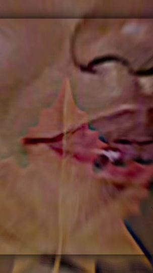 TikTok video thumbnail by __cvrtel.737__