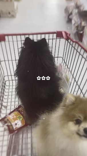 TikTok video thumbnail by sophanilnoi