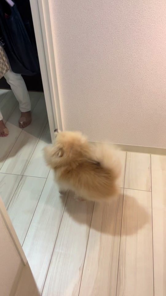 TikTok video thumbnail by mokozou__