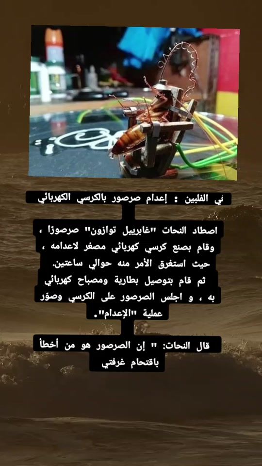 TikTok video thumbnail by 1.cixr