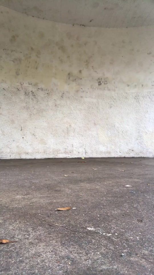 TikTok video thumbnail by skatermolly