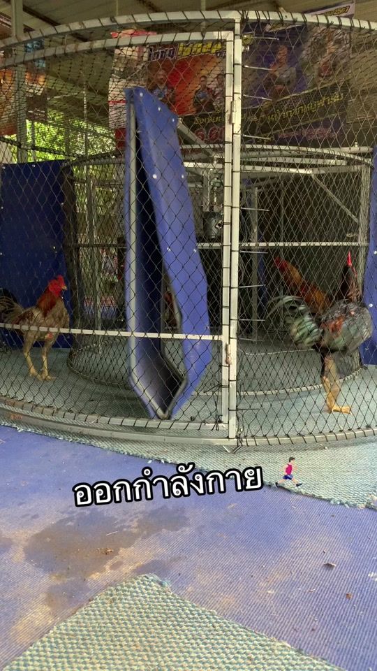 TikTok video thumbnail by nayneprin