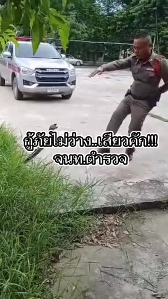 TikTok video thumbnail by chama75340