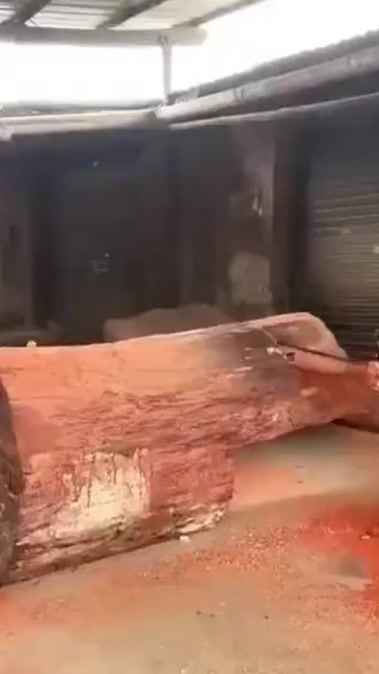 TikTok video thumbnail by abderwoodworker