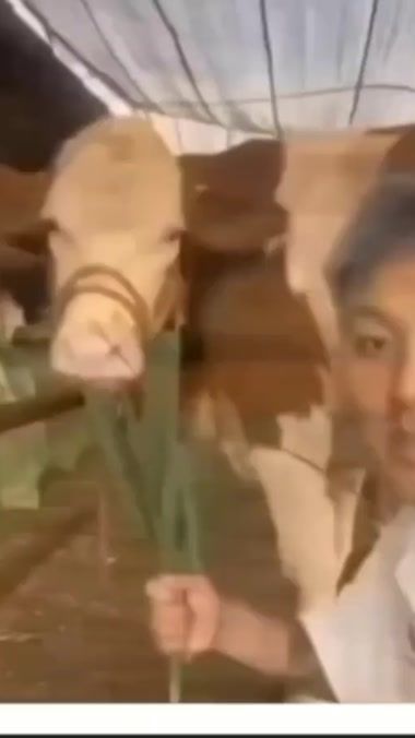 TikTok video thumbnail by xomidov124