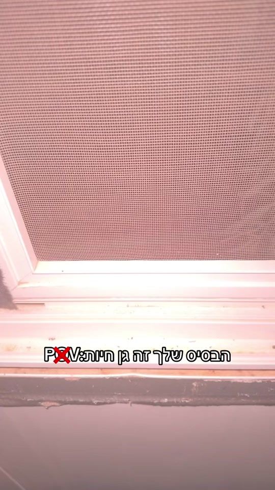 TikTok video thumbnail by agamrubin11