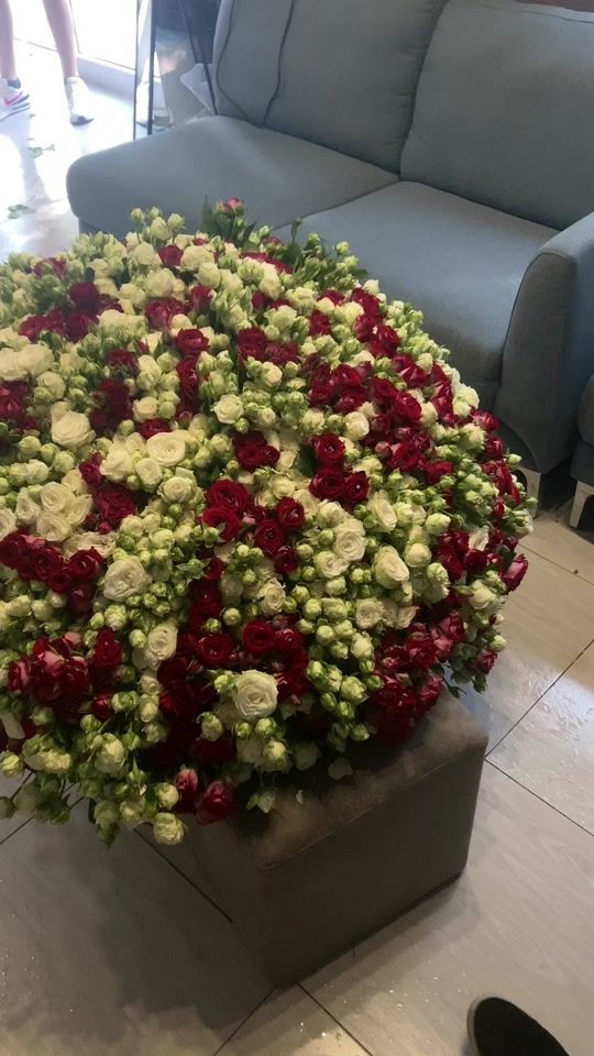 TikTok video thumbnail by herbar1um.flowers