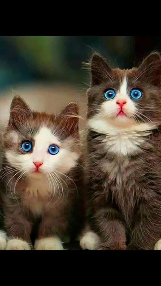 TikTok video thumbnail by babusyjgusj