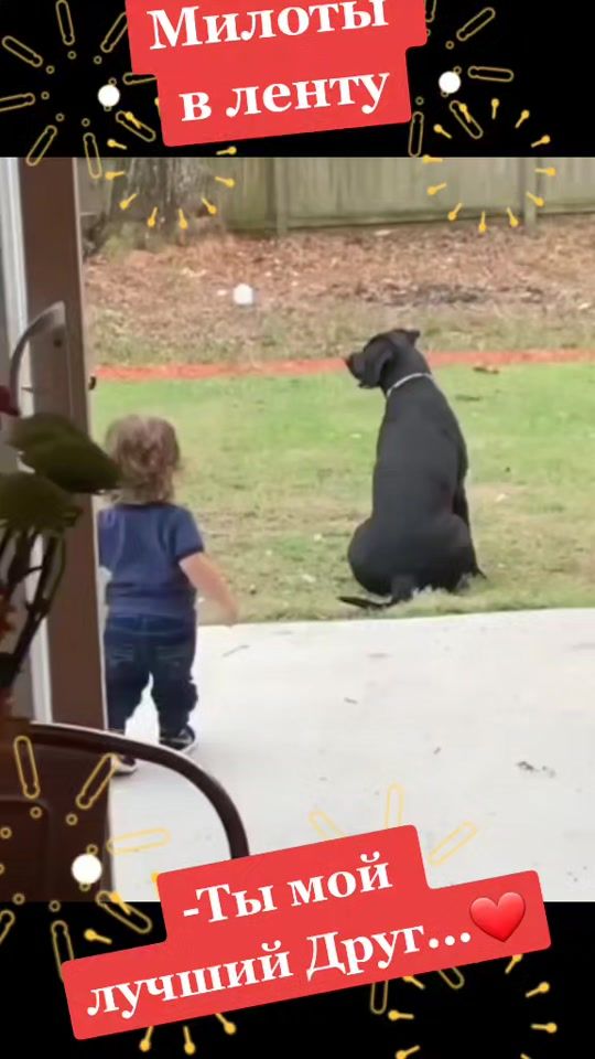 TikTok video thumbnail by irali59