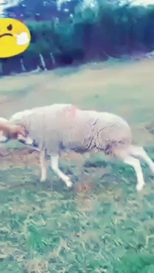 TikTok video thumbnail by yaniso33