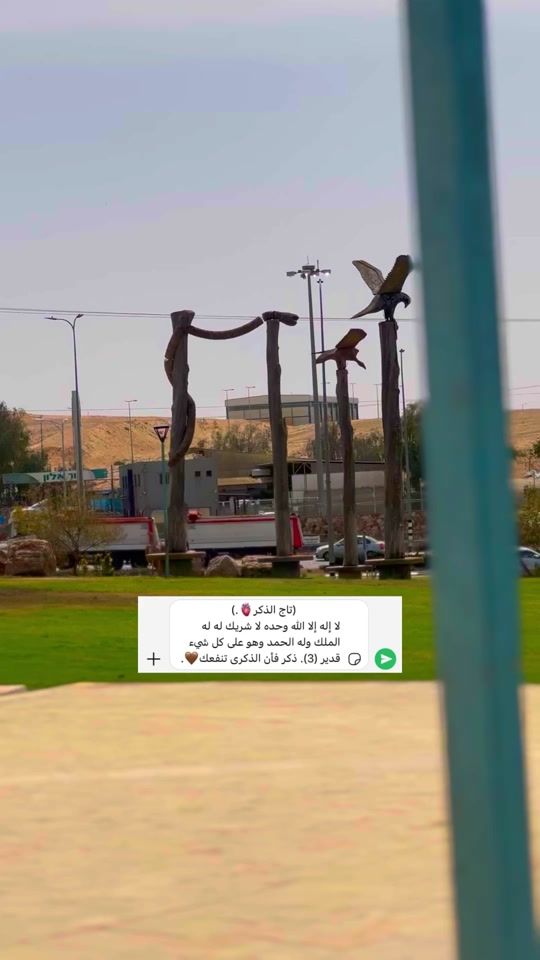 TikTok video thumbnail by _bdwe_5