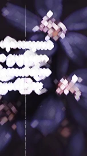 TikTok video thumbnail by joesoe98