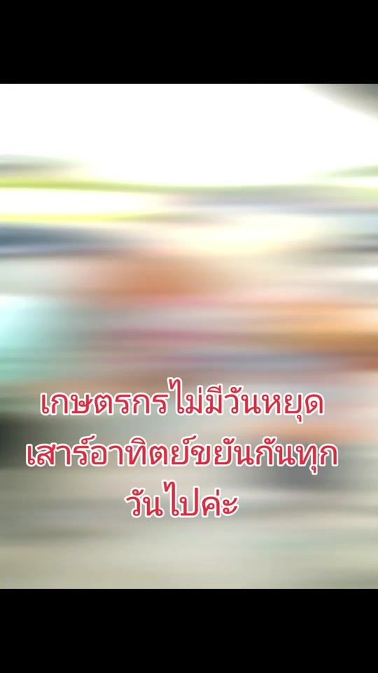 TikTok video thumbnail by tippaporn2519