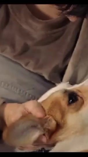 TikTok video thumbnail by doris7378