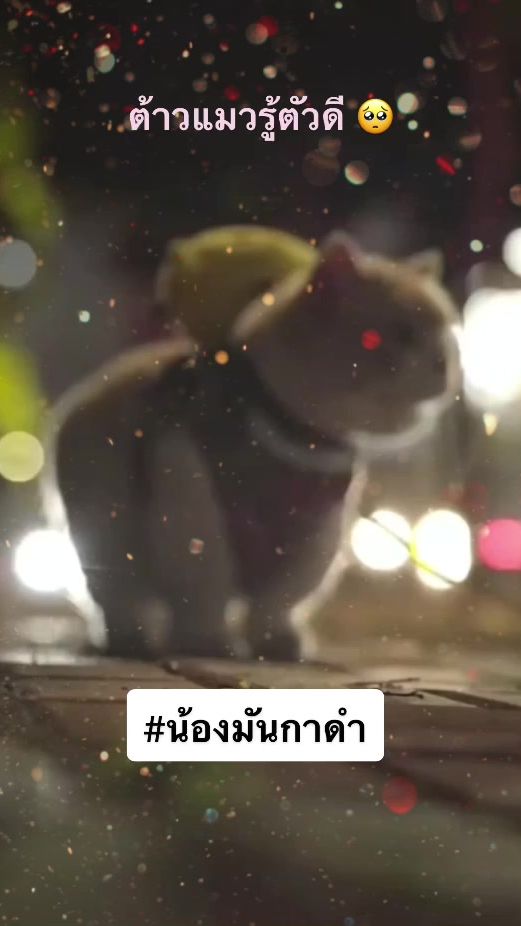 TikTok video thumbnail by jeyaireview