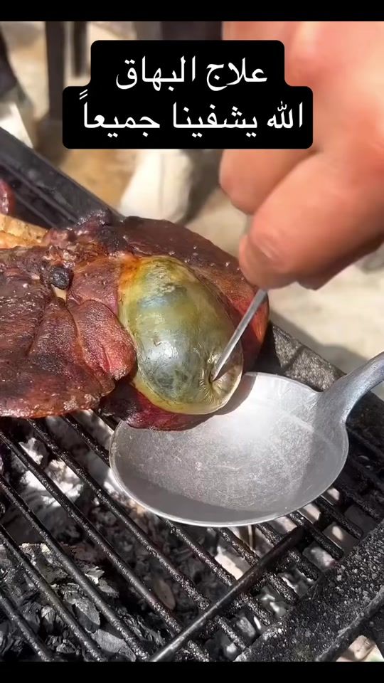 TikTok video thumbnail by salim_sabeel