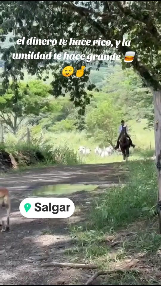 TikTok video thumbnail by altagraciasepulveda1