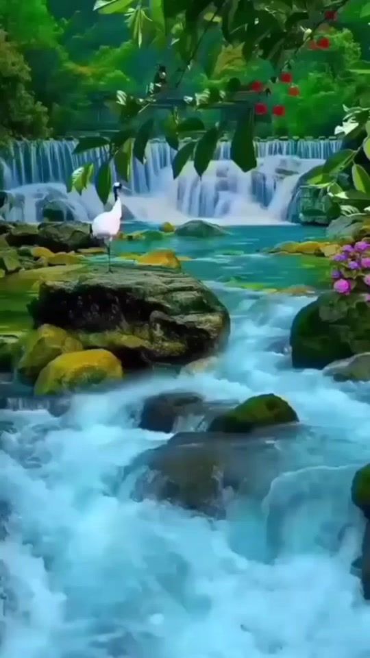 TikTok video thumbnail by rab_allaha01