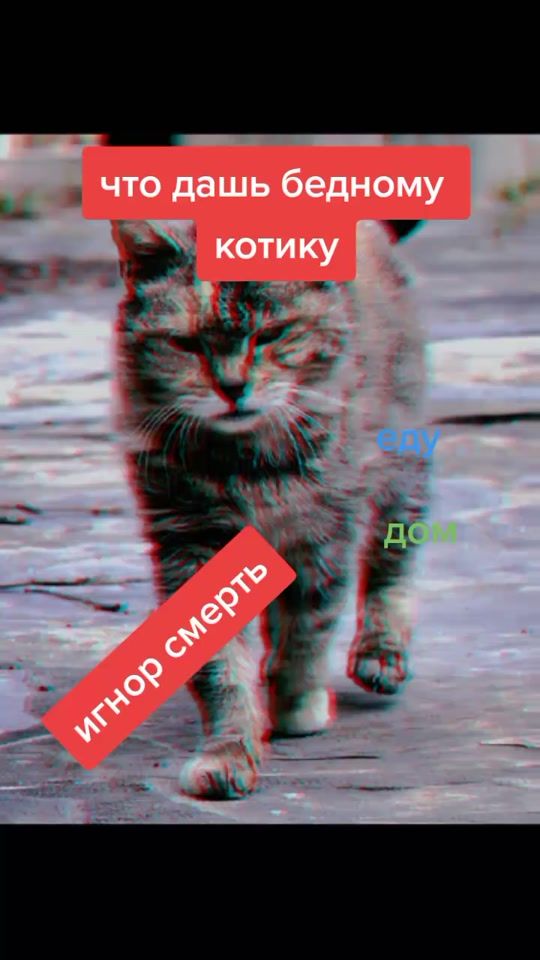 TikTok video thumbnail by wlad320