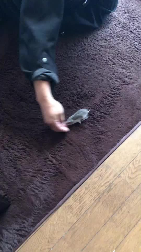 TikTok video thumbnail by z.y17