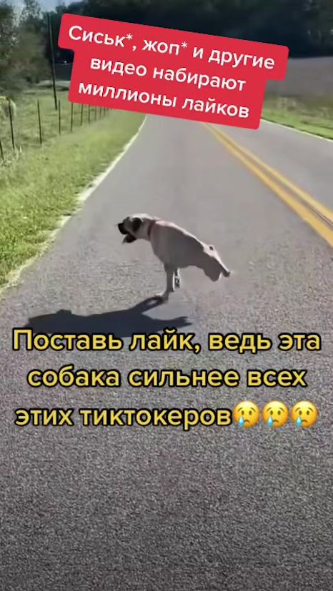 TikTok video thumbnail by ahah_ahah06