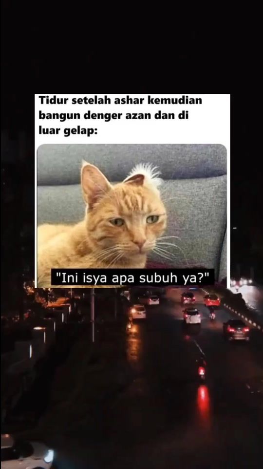 TikTok video thumbnail by addictedth