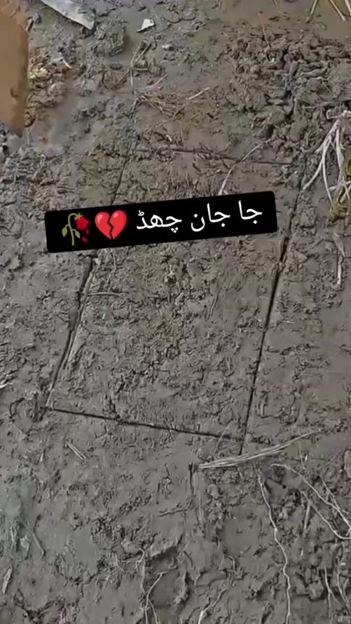 TikTok video thumbnail by rajaking5589