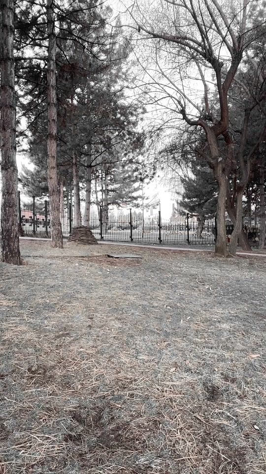 TikTok video thumbnail by rendi_popping