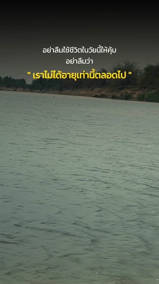 TikTok video thumbnail by 2000studio23
