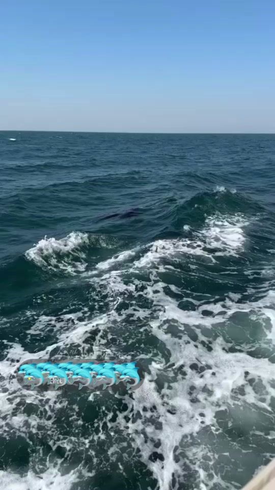 TikTok video thumbnail by 44yyjj