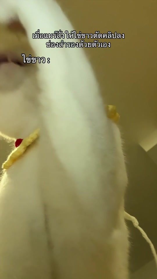 TikTok video thumbnail by ployy_chuekk
