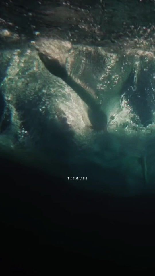 TikTok video thumbnail by anikin.fedor